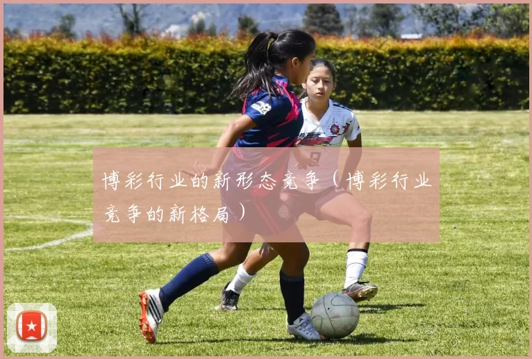 博彩行业的新形态竞争（博彩行业竞争的新格局）
