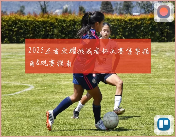 2025王者荣耀挑战者杯决赛售票指南&观赛指南