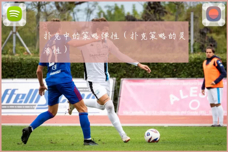 扑克中的策略弹性（扑克策略的灵活性）