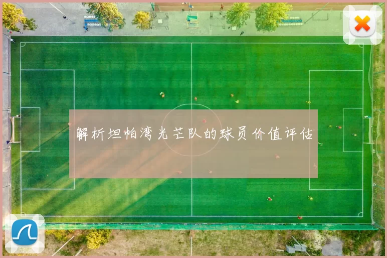 解析坦帕湾光芒队的球员价值评估