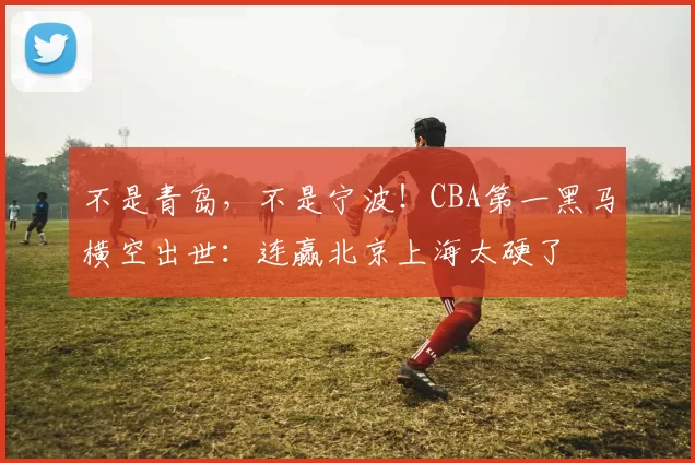 不是青岛，不是宁波！CBA第一黑马横空出世：连赢北京上海太硬了