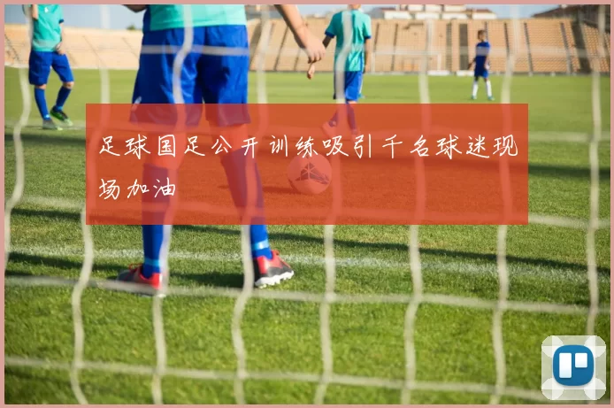 足球国足公开训练吸引千名球迷现场加油