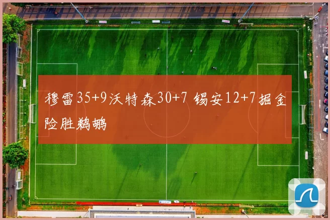 穆雷35+9沃特森30+7 锡安12+7掘金险胜鹈鹕